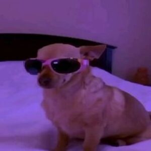 Profile photo of Andrei